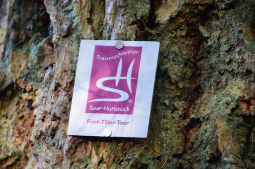 Naurath-Wald-5-Täler-Tour-1