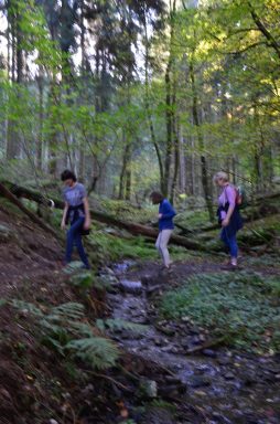 Naurath-Wald-5-Täler-Tour-15
