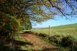 Naurath-Wald-5-Täler-Tour-2