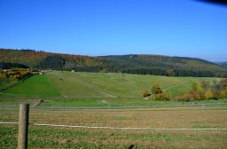 Naurath-Wald-5-Täler-Tour-4