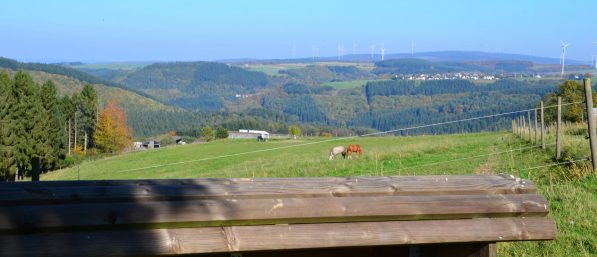 Naurath-Wald-5-Täler-Tour-5