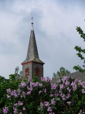 Naurath-Wald-Hochwald-Nationalparkregion-11