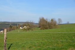 Naurath-Wald-Hochwald-Nationalparkregion-17