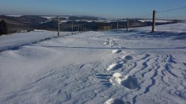 Naurath-Wald-Hochwald-Nationalparkregion-21