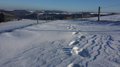Naurath-Wald-Hochwald-Nationalparkregion-21