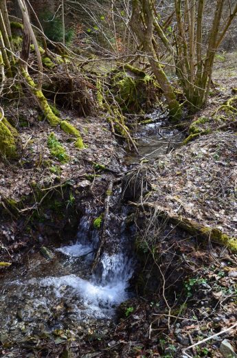 Naurath-Wald-Hochwald-Nationalparkregion-22a