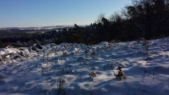Naurath-Wald-Hochwald-Nationalparkregion-24