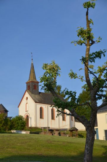 Naurath-Wald-Hochwald-Nationalparkregion-30