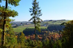 Naurath-Wald-Hochwald-Nationalparkregion-34