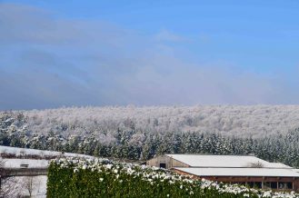 Winterlandschaft Naurath_Wald 2