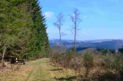 Naurath-Wald-5-Täler-Tour-56
