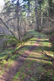 Naurath-Wald-5-Täler-Tour-57