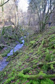 Naurath-Wald-5-Täler-Tour-58