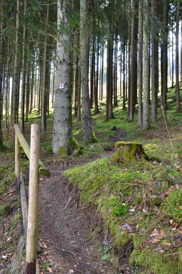 Naurath-Wald-5-Täler-Tour-64