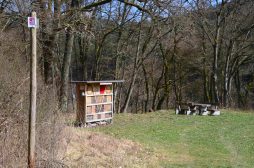 Naurath-Wald-5-Täler-Tour-65