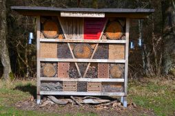 Naurath-Wald-5-Täler-Tour-66