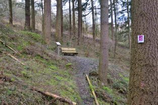 Naurath-Wald-5-Täler-Tour-72