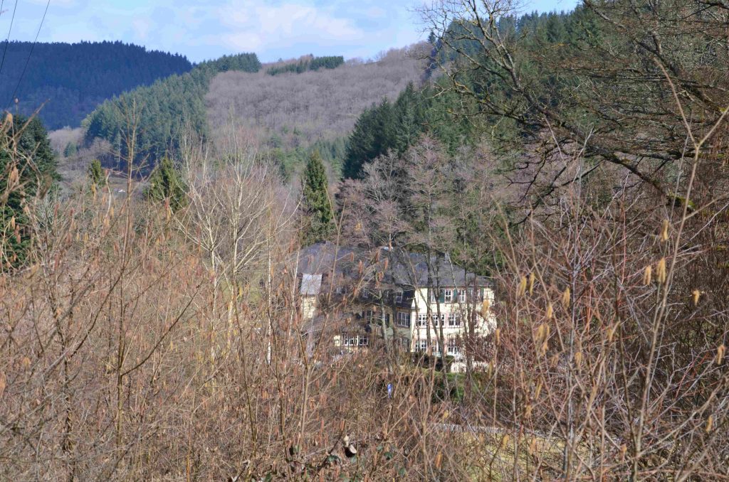Traumschleife 5-Täler-Tour, Naurath-Wald-Hochwald