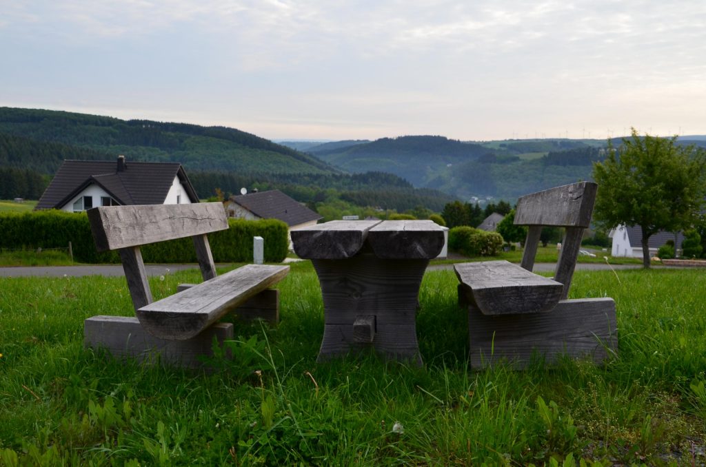 4 Jahreszeiten in Naurath / Wald