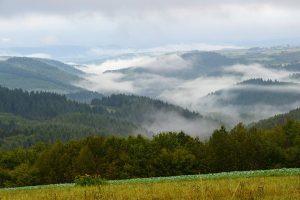 Naurath-Wald Hochwald Nationalparkregion Naturbilder